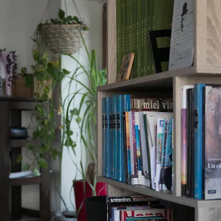 公寓 Mansarda Valu *